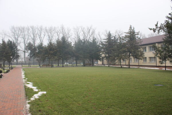 IMG_0547-scaled-600x400 База